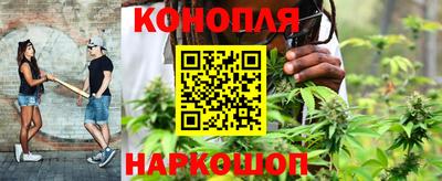 трава Будённовск