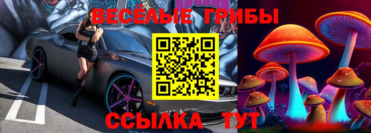 Галлюциногенные грибы Psilocybe  Вход с VPN  Прохладный  Галлюциногенные грибы мицелий 
